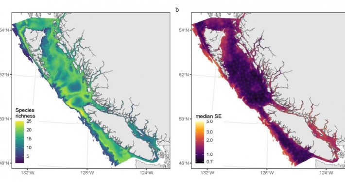 What are the elements of a great map?